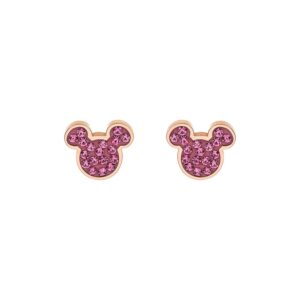 Disney Ohrstecker E600178PRPL-B.CS